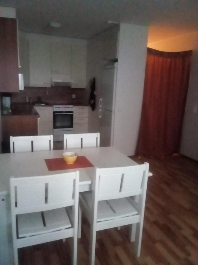 Apartment In Centrum Of Rovaniemi, Lakeview, Aurora Borealis View From Apartment Terrace And Mountain View 외부 사진