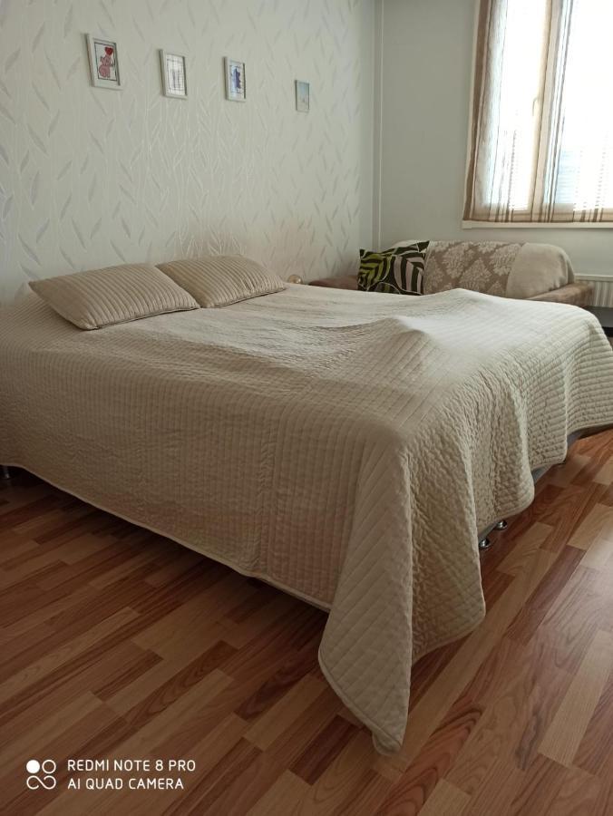 Apartment In Centrum Of Rovaniemi, Lakeview, Aurora Borealis View From Apartment Terrace And Mountain View 외부 사진
